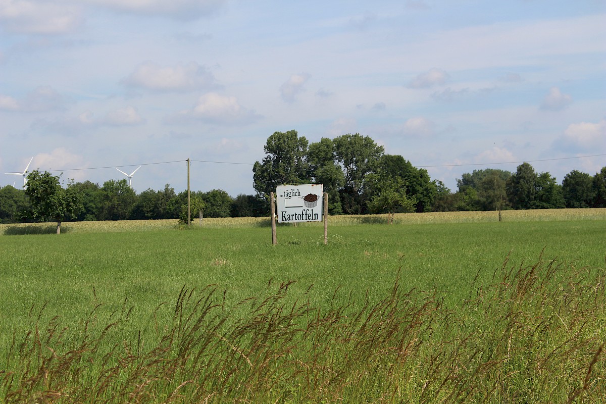 Ein Schild auf dem für Kartoffeln geworben wird  auf einem Radweg, der parallel zur B 51 verläuft