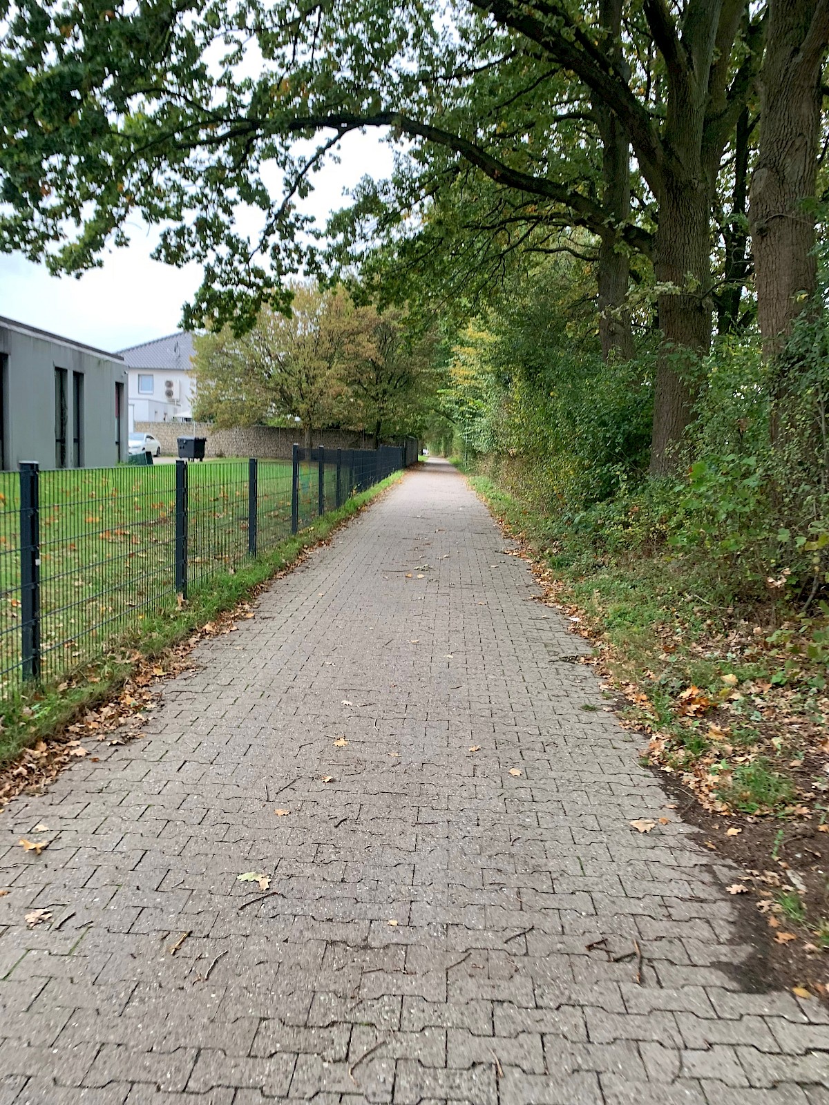 Fahrrad- und Fußweg entlang der Bahnlinie Münster-Bielefeld in Höhe des Gewerbegebiets Orkotten entlang einer breiten Hecke