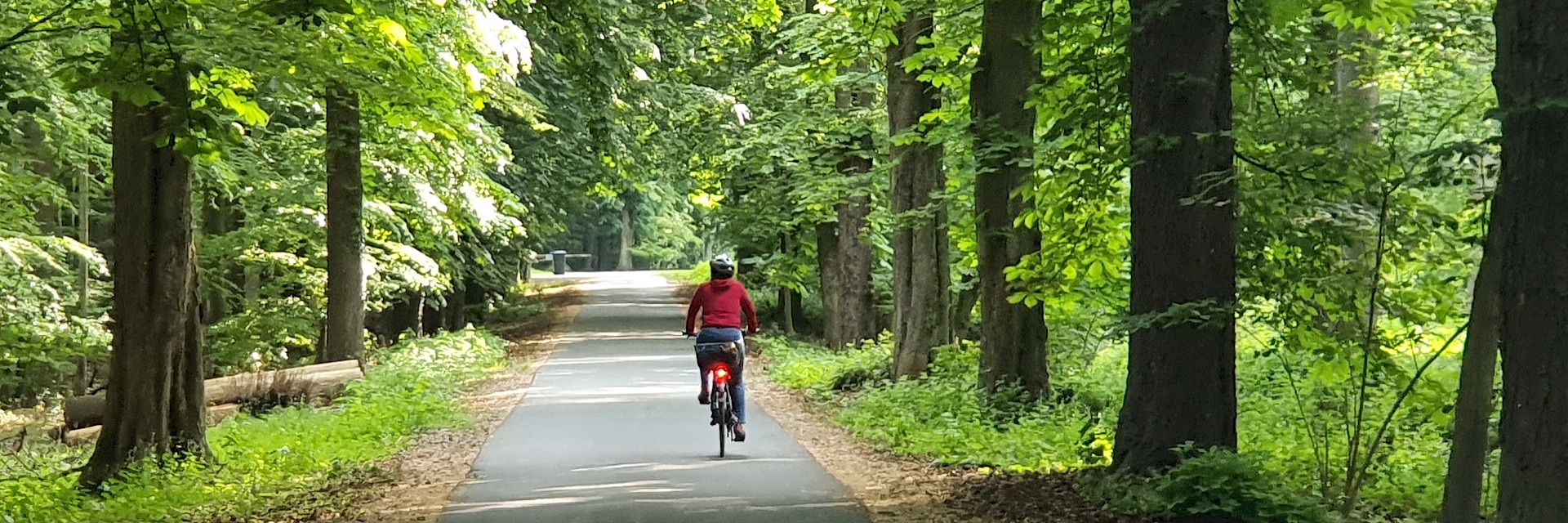 Radfahrer auf einem Waldweg